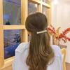 Flash Drill Metall Haarspange für Frauen Elegantes Temperament Seitenclip Mode Mädchen Haarnadel Haaraccessoires