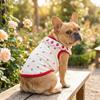 Cherry Pattern Cat Strawberry Vest Ruffled Collar Pet T-shirt Cat Lace Vest  Indoor Wear