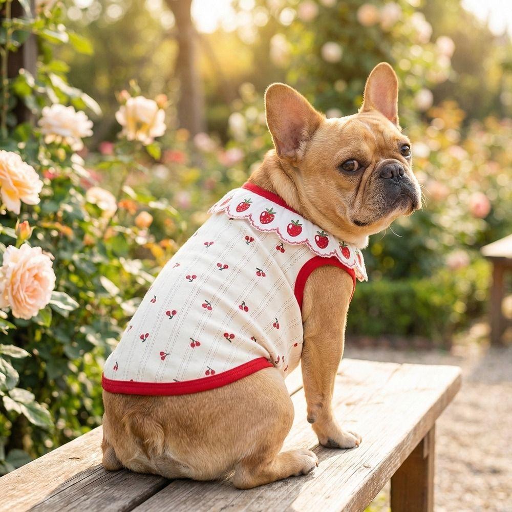 Cherry Pattern Cat Strawberry Vest Ruffled Collar Pet T-shirt Cat Lace Vest  Indoor Wear
