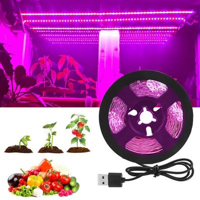 2022 New 0.5M-5M 5V USB LED Grow Light Strip Lamp Full Spectrum Fitolampy For Vegetable Flower Seedling Plant Light Tent Growing Phyto Lamps