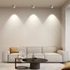 Adjustable Angle Rainbow Spotlight for Living Room Corridor