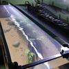 Rete di Protezione Anti-Salto per Acquario Magnetica Copertura Rete Fai-da-te Facile Installazione Copertura Rete per Acquario Rete per Acquario Tartarughe Acquario