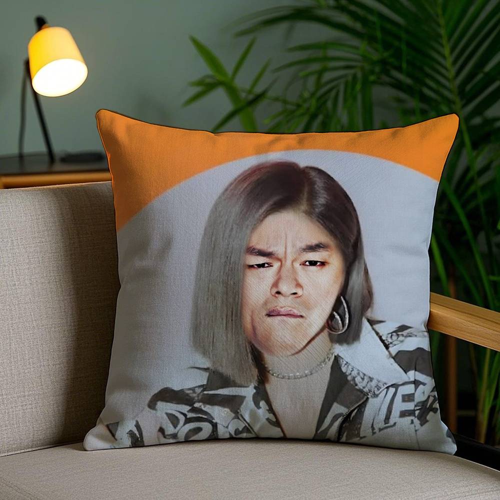 Funny J-JYP Meme Pillow Case Office Sofa Dorm Chair Back Short Plush Double-sided Printing Home Cushion Cover