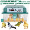 30W/35W 12/16/36 Egg Incubator Brooder Bird Quail Chick Hatchery Incubator Poultry Hatcher Turner Digital Automatic Farm Incubation Tool