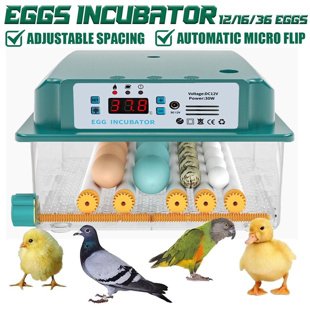 30W/35W 12/16/36 Egg Incubator Brooder Bird Quail Chick Hatchery Incubator Poultry Hatcher Turner Digital Automatic Farm Incubation Tool