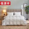 Hengyuanxiang 1JG1223 White Duck Down Duvet