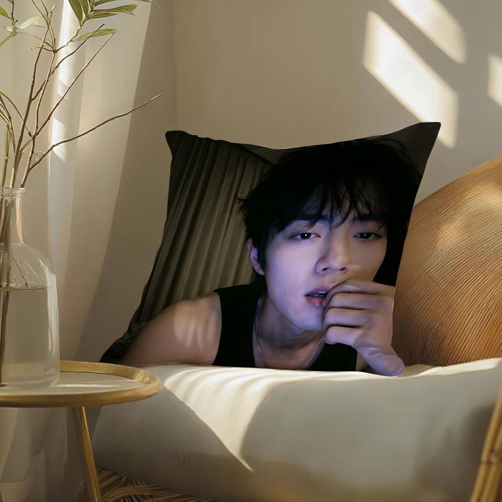 Sean Xiao Zhan Actor Pillow Case Double-Sided Plush Sofa Cushion Covers Organic Breathable Invisible Zipper
