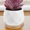 2 Stück 11,5x11,5x1,5cm Premium Keramik Blumentopfuntersetzer Rund Topf Tropfschale Robust Auslaufsicher für Topfpflanzen Heim Büro Dekoration