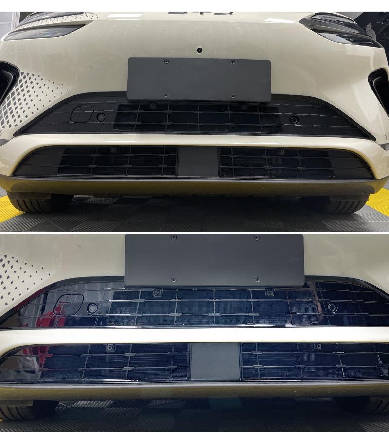 BYD 25 Sea Lion 06 DMI/EV için Özel Radyatör Böcek Ağı