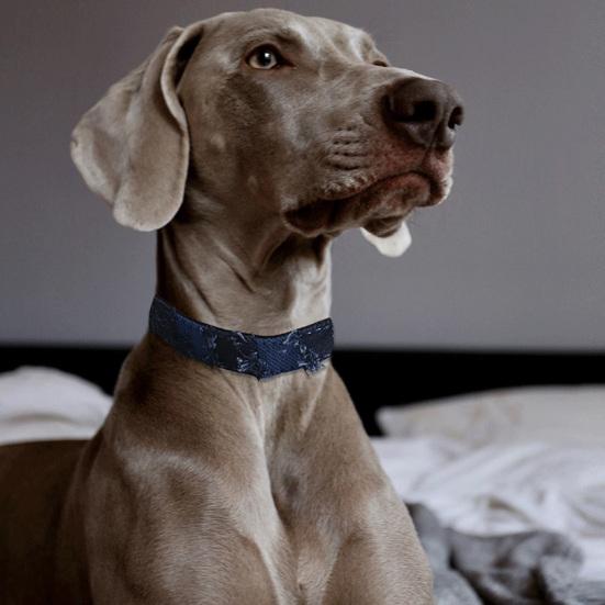 

Ошейник для домашних животных Джинсовый ошейник для собак в стиле ретро с декором кисточками Удобный регулируемый клетчатый шейный ремешок для домашних животных Аксессуар для домашних животных