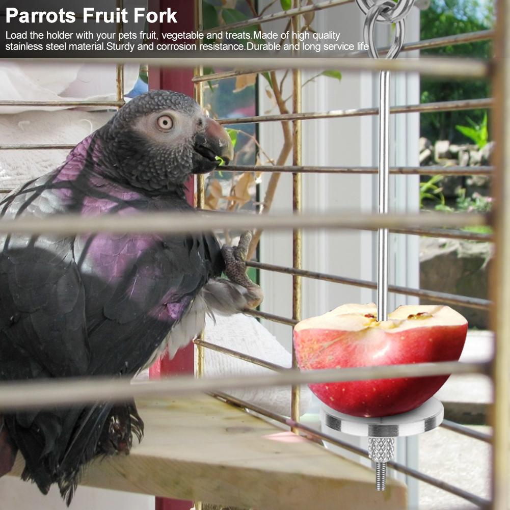 Stainless Steel Pet Fruit Fork Birds Food Holder Feeder Devices Pin Clip for Parrots Chinchilla