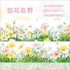 Sky Landscape Color Cloud Grass Ground Washi Tape