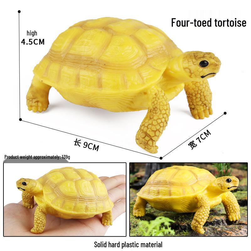 Children's Cognitive Marine Animal Models: Sea Turtle and Tortoise Toys