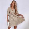 2026 Women's Spring/Summer New V-neck Short-sleeve Waist-cinching Dress