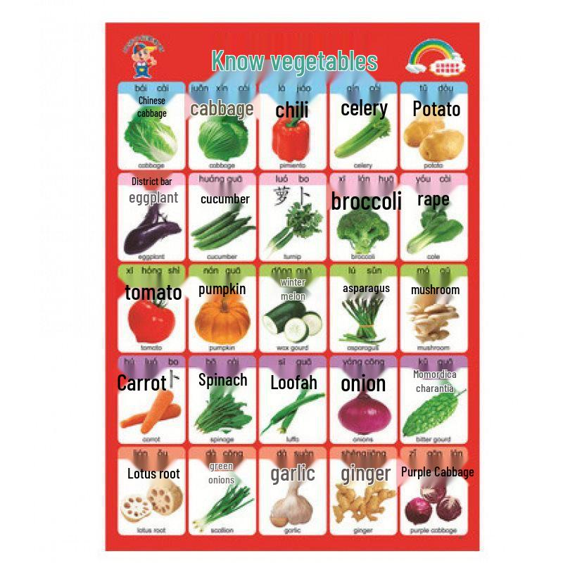 Waterproof Baby Pinyin & Character Recognition Wall Chart for Early Education