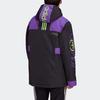 Adidas Originals Graphic Hooded Jacket Men Jackets Black GJ6721