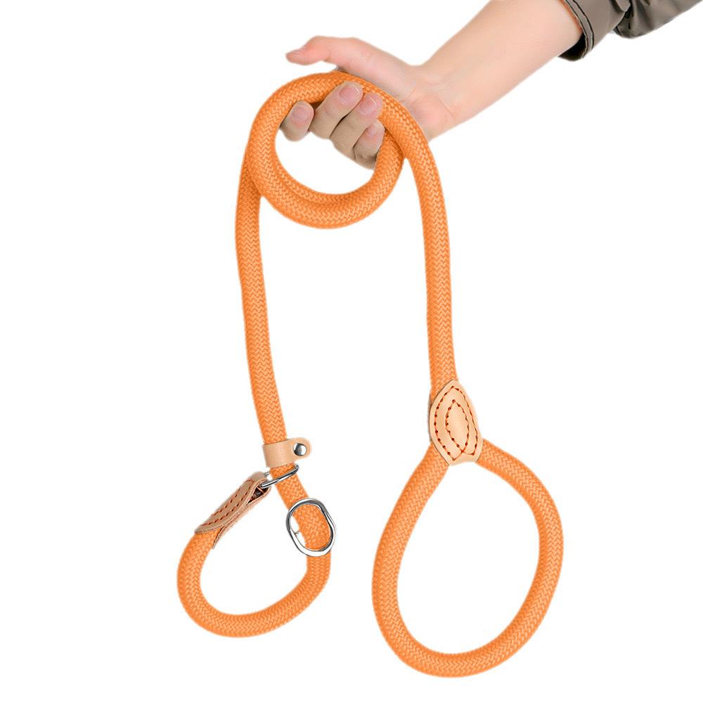 

Dog Leash For Small Dogs: -Pulling Leash One Size