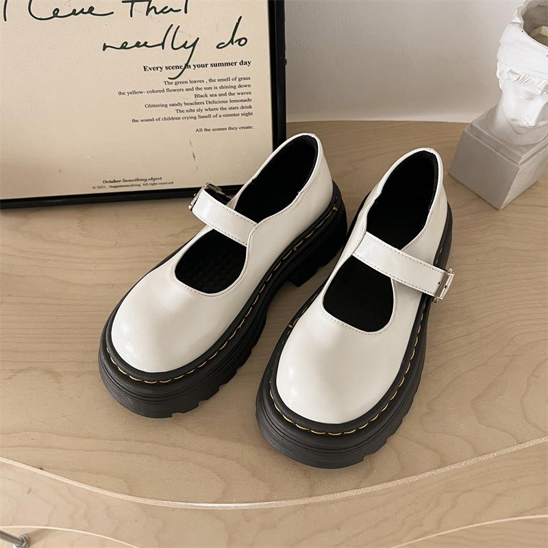 Black French Thick Heel Platform Small Leather Shoes Spring and Autumn Round Head Shallow Mouth Mary Jane Single Shoes