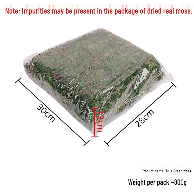 Artificial Moss Grass Mat for Window Display, Potted Plant, and Landscaping Decoration