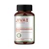 Jiva Mahasudarshan Vati Tablets 120 Count Pack Of 1 Ayurvedic Herbal Supplement For Immunity And Digestion