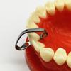 Dental-Kofferdamklemme, Gummi-Barriereklammern Nr. B4 für zwei Eckzähne und Nr. 44 für Vorderzähne