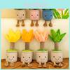 Adorable Plush Succulent Plant Decor Crystal Velvet Cuddly Stuffed Toys For Home Office Decoration Props In Blue Pink Beige