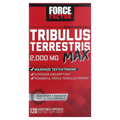 Temeller, Tribulus Terrestris Max, 2.000 mg, 120 Bitkisel Kapsül (Kapsül başına 500 mg)