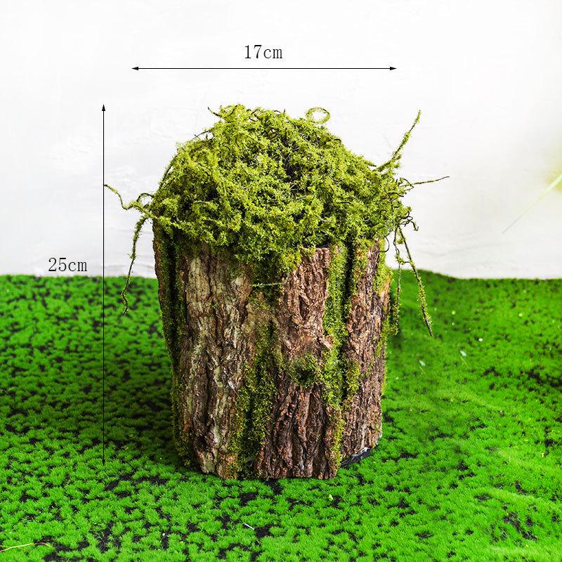 Artificial Moss Turf Carpet for Indoor & Outdoor Decoration