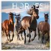 Horses Calendar 2026, Large 12 X 12 Inch, Horse Wall Calendar, Gift for Horse Lovers, Cute Calendar for Girls