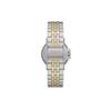 Часы Skagen Signature