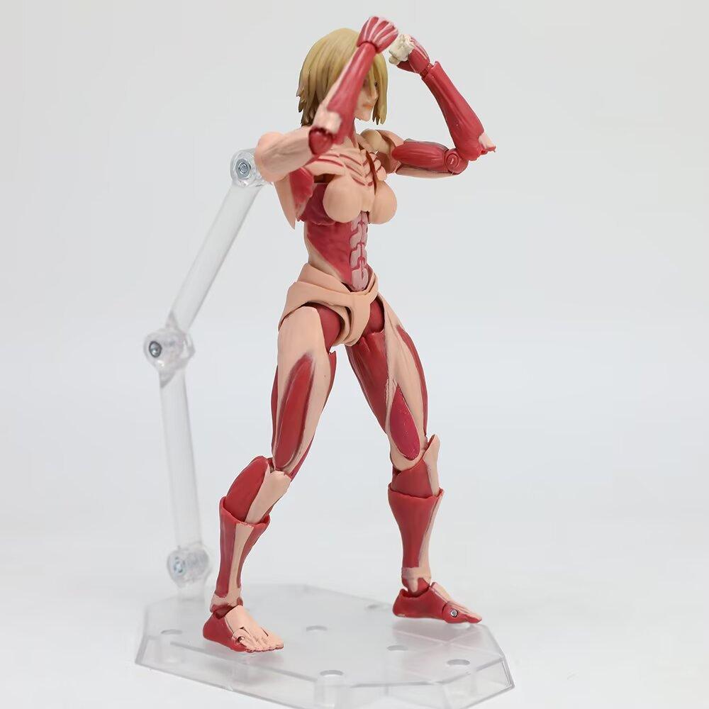 Attack On Titan, Wheel Technology Marvel Pass, Giantess, Aniona, Movable Model Box Figure