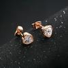 Love Earrings Zircon Micro-plated Rose Gold and White Gold Earrings Wedding Zircon Gift