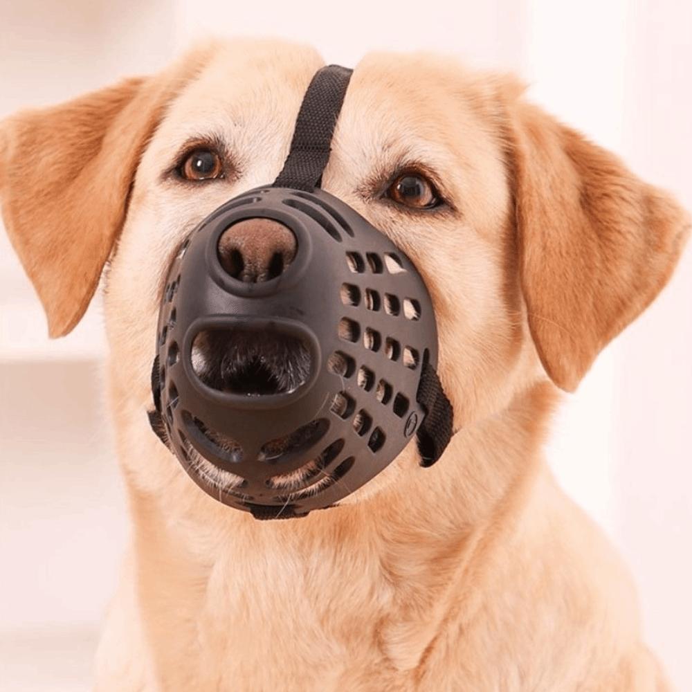 Breathable Pet Muzzle Adjustable Dog Mouth Guard Practical Dog Stop Barking Mask Vet Visit
