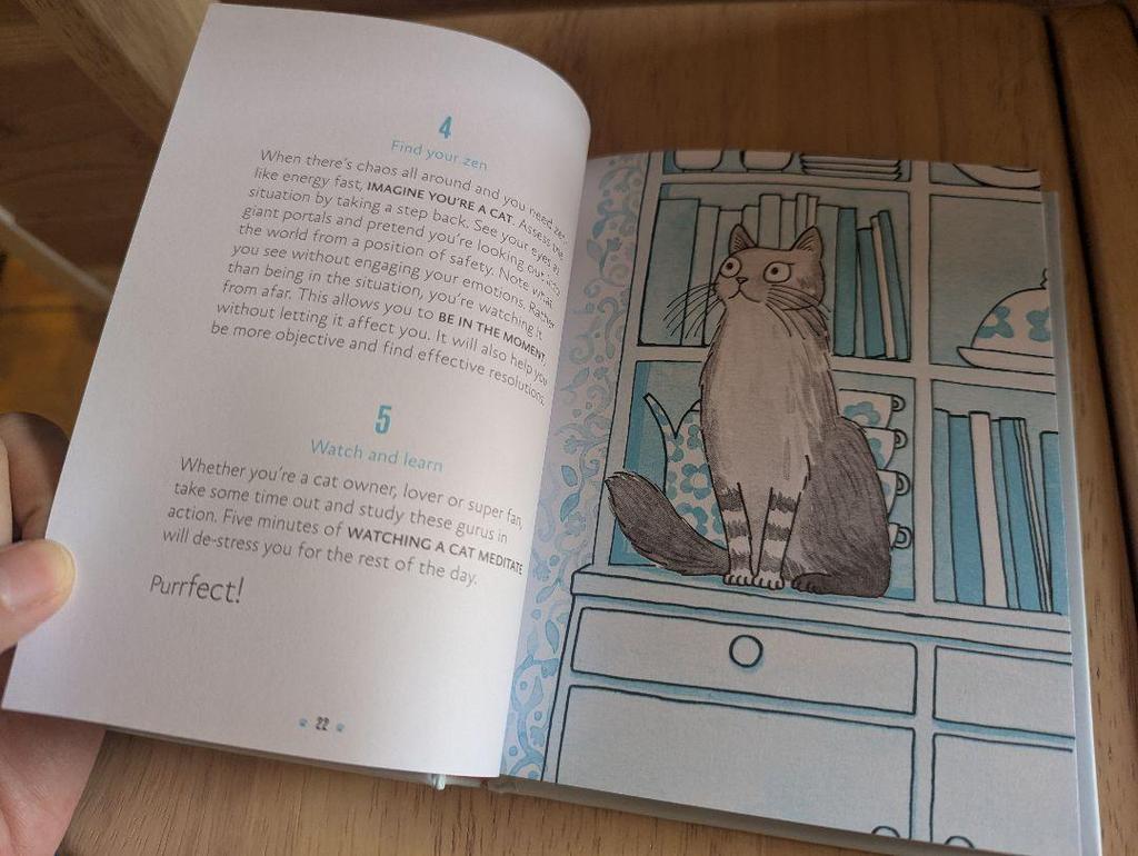 [USED] A small book on cat philosophy that cat lovers will want to keep as a talisman: Be More Cat