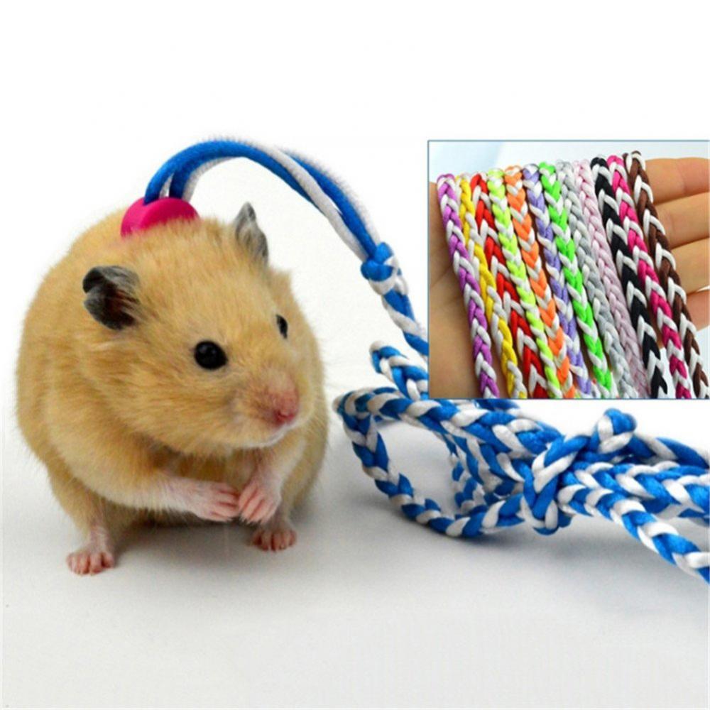 Haustierleine Zugseil Leine Spaziergang 1.4/2m Hamster Meerschweinchen Cobaya Kaninchen Frettchen Chinchillas Klein Halsband Leine