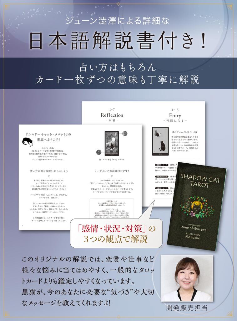 [Liisha] June Shibusawa's Original Tarot and Oracle Cards, Cat, with Japanese Instructions, Fortune Telling, Made in Japan, Liisha [Authentic] (Shadow