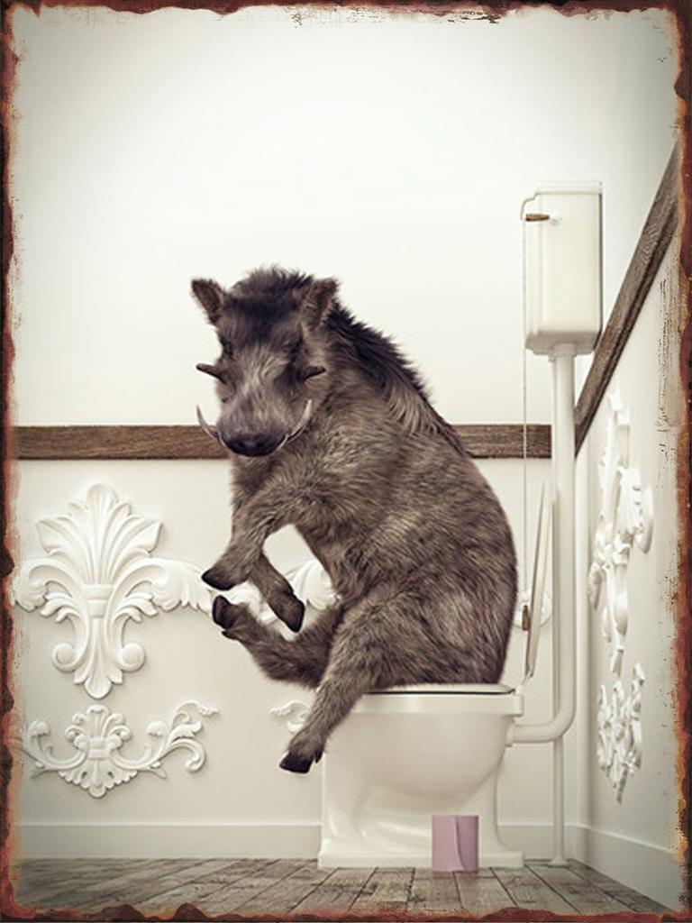 Toilet Animal Funny Metal Tin Signs Home Bathroom Wall Art Decoration Public Lavatory Plaques Restroom Plate Background Poster