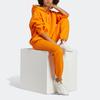 Adidas Originals Solid Logo Print Sports Long Sleeve Hoodie Women hoodies Orange IK7693