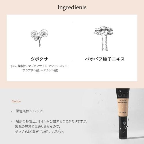 The Saem Japan Official Cover Perfection All-Proof Chip Concealer 1.5 Natural Beige 1195