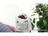 Anti-snore Coarse Cloth Cervical Pillow with Buckwheat Husk