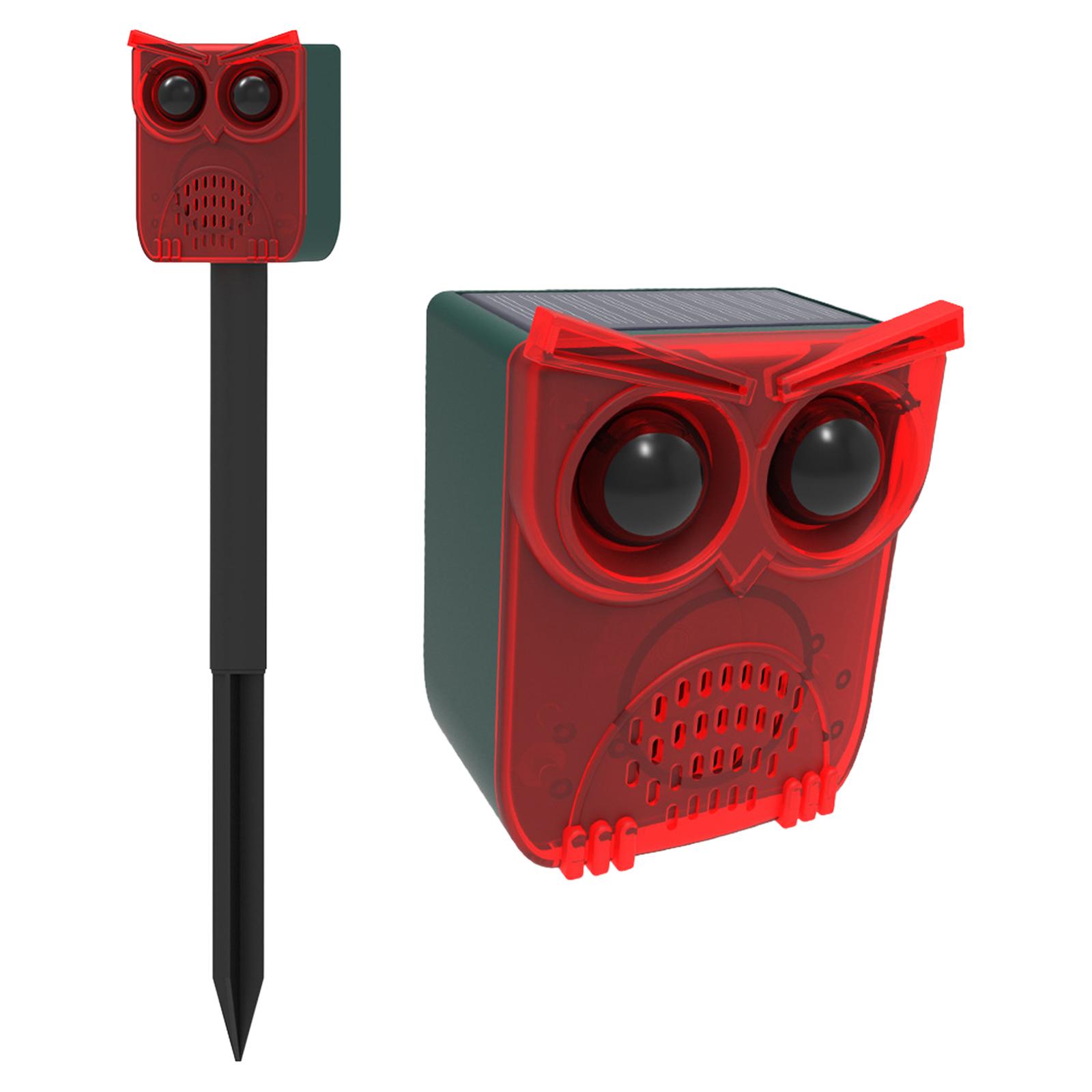 Собачий лай и выстрелы, двор/сад