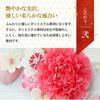 Osaka Choseido Hagoita cute and with personalized wooden tag included perfect for the first New Pink Reikanzashi (battledore), stylish, compact,