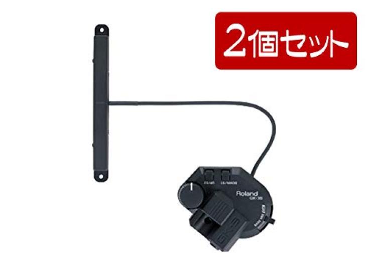 

Roland Roland Bass Divided Pickup Set of 2 [Bulk Purchase] - GK-3B