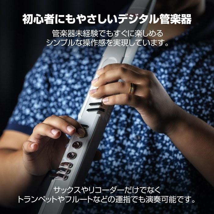 Akai Professional EWI 5000 Wind Synthesizer (White)