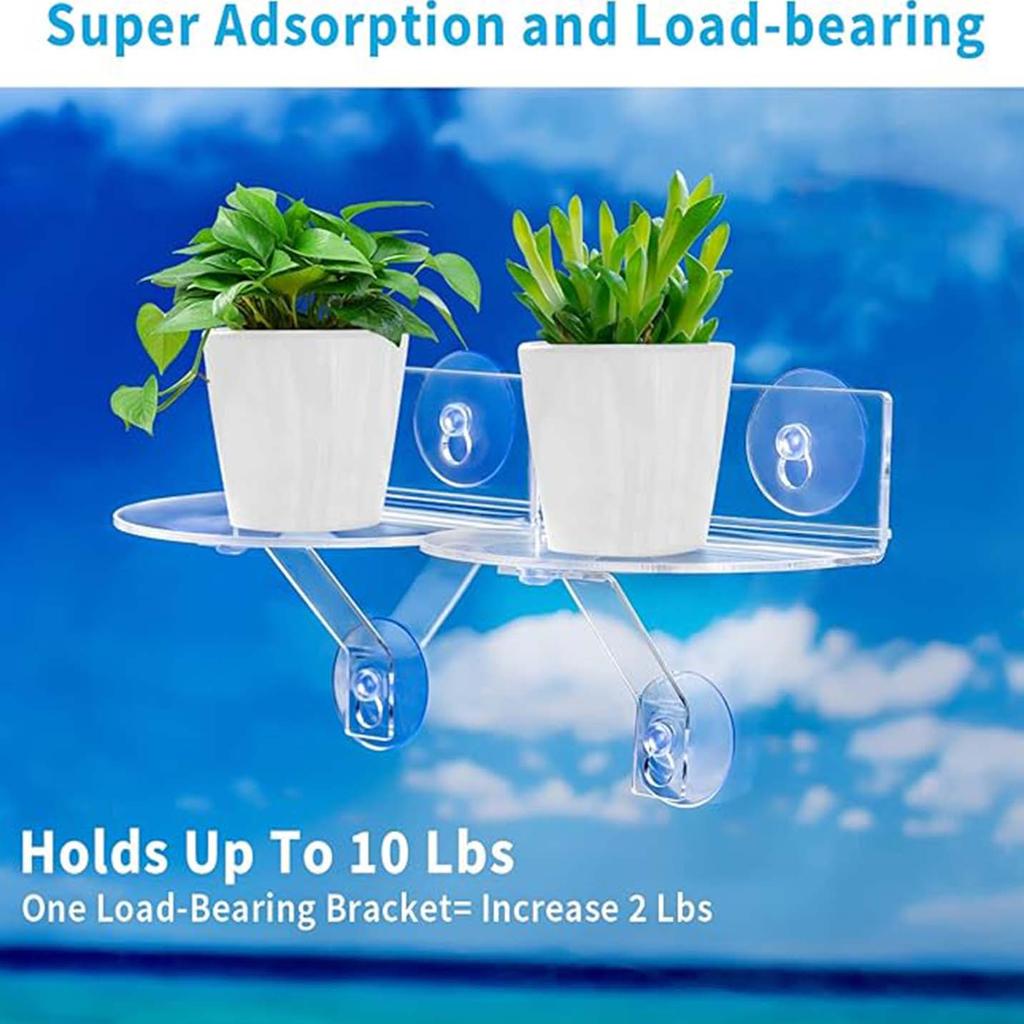 1/2 Stück Acryl-Fenster-Pflanzenregale mit Saugnäpfen Mehrzweck-Halterungen für Zimmerpflanzen Heimdekoration