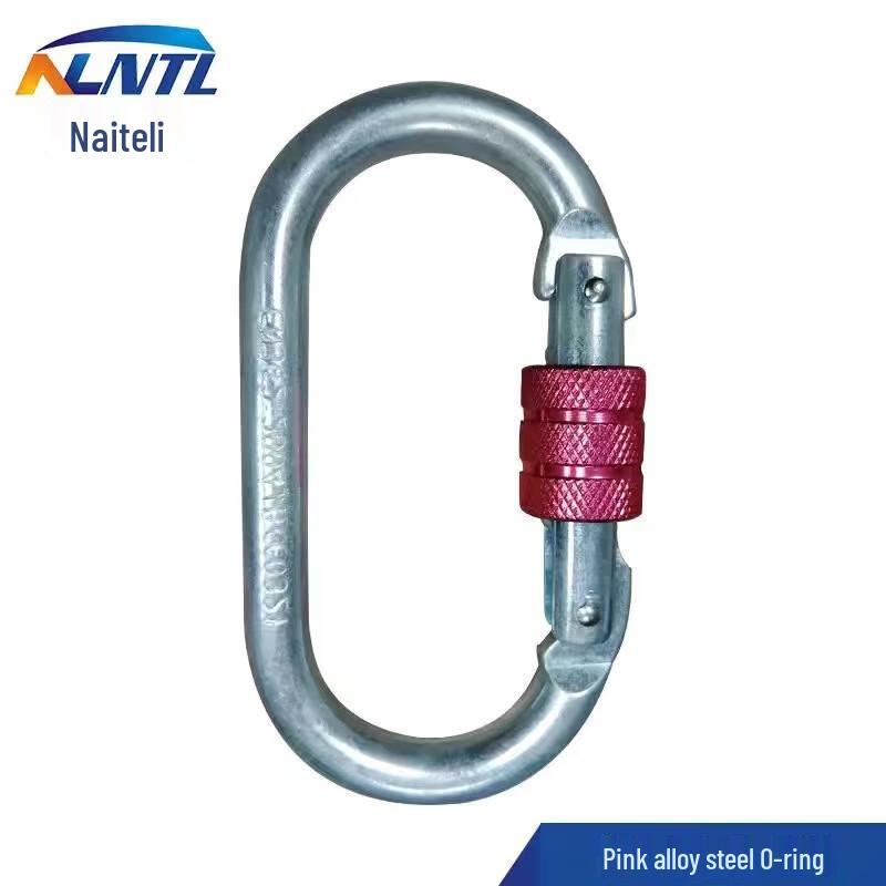 NLNTL Climbing Locking Carabiner