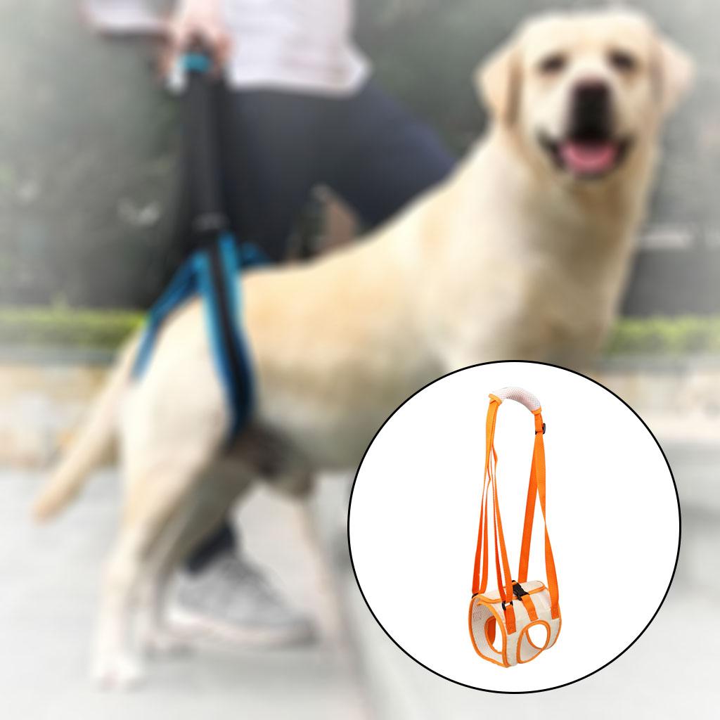 LARGE DOG MOBILITY AID, PET Dogs Supports for Hinds, Hinds Hip Lift Harness