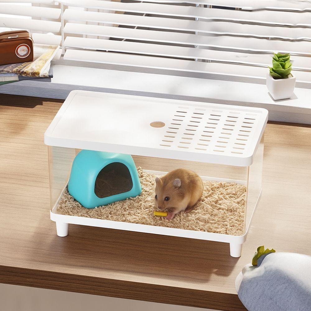 Transparent Lizard Breeding Box Breathable Insect Observation Box Reptile Terrarium  Amphibians