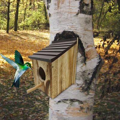 Window Bird House Wooden Birdhouse for Outside,Decorative,Outdoors Small Nest Nesting Box