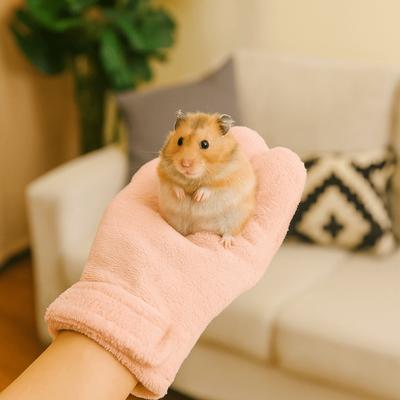 Bissfeste Tierbehandlungshandschuhe Weiche Bequeme Hamster-Beruhigungshandschuhe Verschleißfeste Verstellbare Bissfeste Handschuhe Tierärztliche